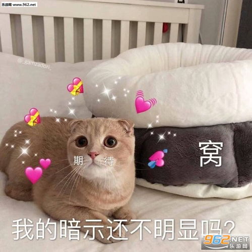 真可爱啊幸好是属于我的表情包图片你这是犯罪表情包下载乐游网游戏下载