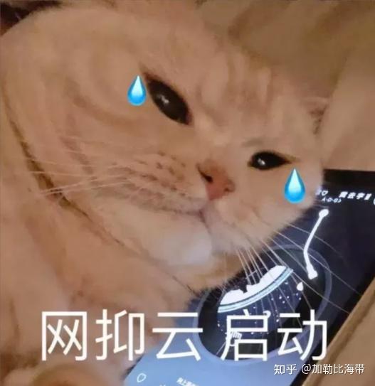 还单身的朋友点进来,我知道原因在哪了