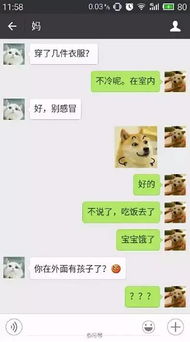 微信聊天出图片表情包爸妈