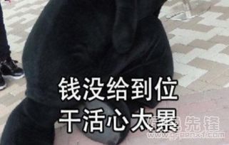 抖音996工作制qq表情包996工作制表情素材v1.0正式版软件下载
