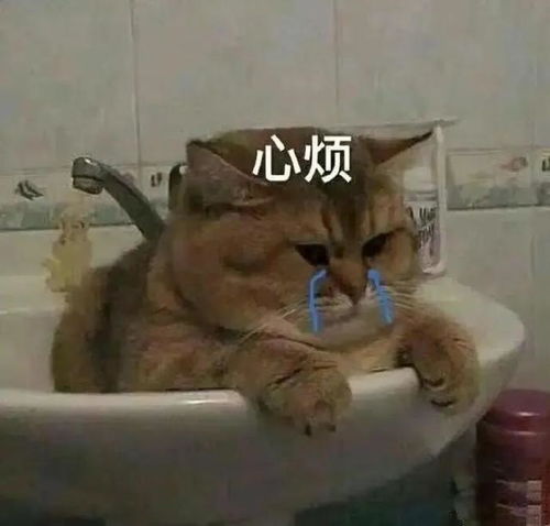 表情包有期待终会有相见