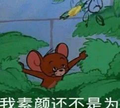 一组猫爪老鼠杰瑞的表情包