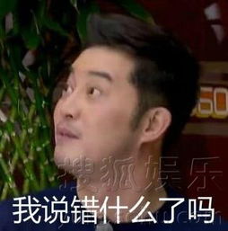 从英俊的白展堂到行走的表情包论沙溢的蜕变