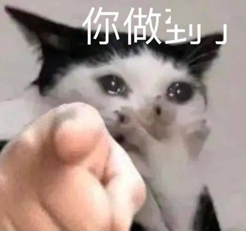 当代明星露营图鉴钟楚曦比颜值,宋轶拼装备,最后是周杰伦赢了