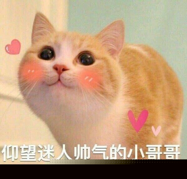 表情包花式表白,可以偷走你的小心心嘛