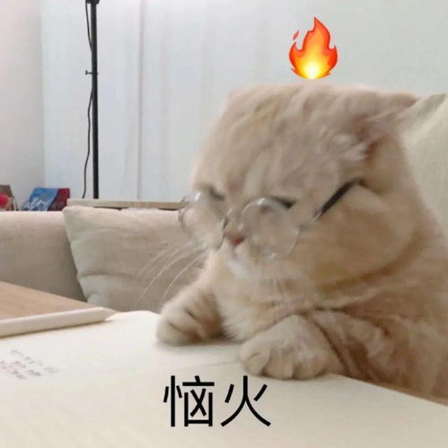 如何让学习像游戏一样上瘾