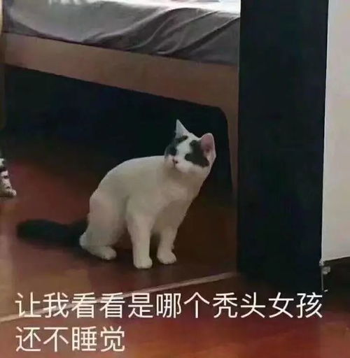 你的头发还好吗