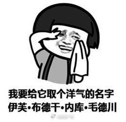 回南天表情包无水印一览南方春天潮湿天气图片