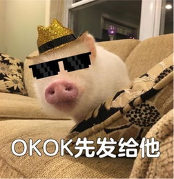 我觉得ok表情包下载我觉得ok表情包高清无水印极光下载站