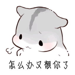 小仓鼠表情包
