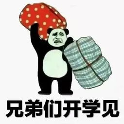 当代大学生归家实录