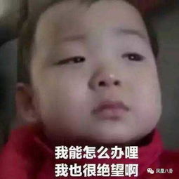 黄磊女儿的两个小竹马都是校草人设快出投胎秘籍吧