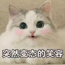 哈哈哈哈现在风筝的造型可以说相当硬核了啥都能上天