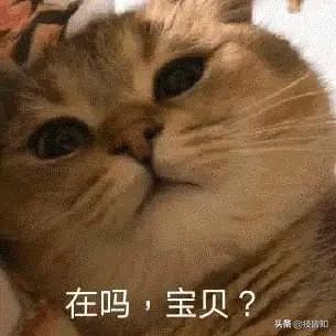 地摊经济火了,炸出了民间段子手