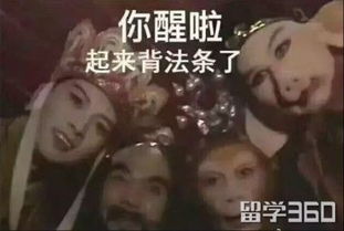 考研成绩下来了,你的心情是怎么样的