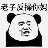 怼人专用表情包熊猫头