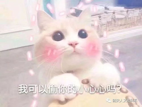 关于巧克力的那些事二