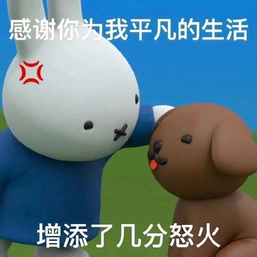 开开心心查世另我物流却看到我的向阳被寄错地方了