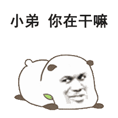 你在干嘛呀表情包合集
