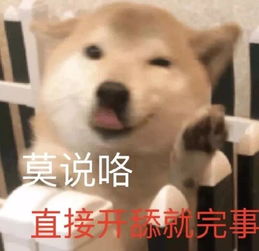 斗图表情包不斗图不快乐