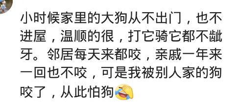 我妈烦透了我家狗偷偷送给亲戚,到了那边三天不吃不喝
