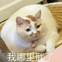 胖猫咪表情包微信头像图片大全