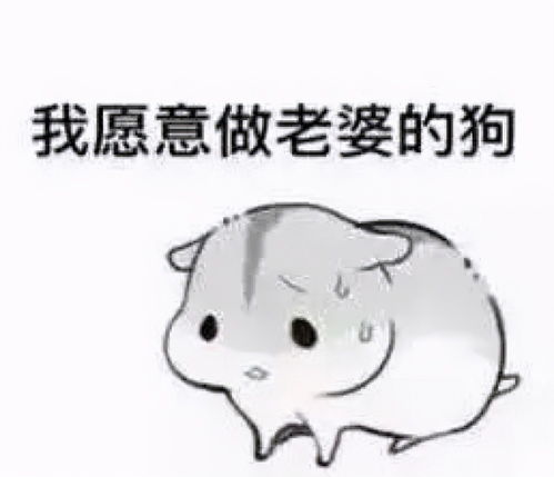 超超可爱的小仓鼠表情包,快去把你家男朋友喊过来看看