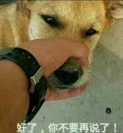 皮捏狗嘴的表情包