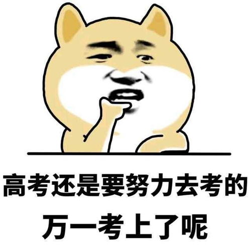 高中党,你想用青春的荒唐,换一生的卑微与底层吗