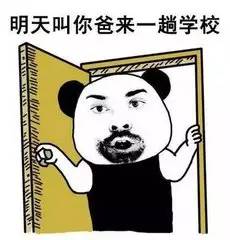 政治老师西部大开花