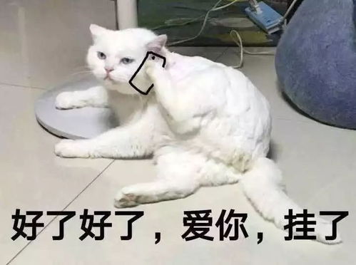 无论对象多挑剔,情人节来萧山这个约会圣地,一站式搞定所有