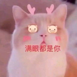 2019最常用的有趣搞笑表情合集微信群聊天必备表情