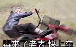 劲擎劲力,领跑全球,帅铃康明斯超硬核