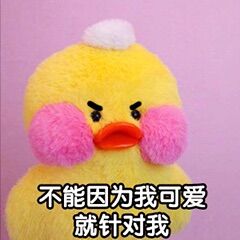 网红玻尿酸鸭呆萌表情包女生最爱