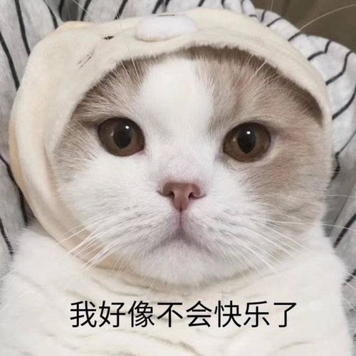 十条笑话我用手机录下了她的声音当闹钟,心里甜甜的