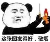 问题不大龙妈表情包龙妈不大问题表情