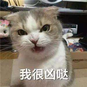 抖音我不可爱我很凶哒无水印表情包