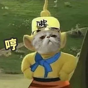 沙雕表情包给你个眼神自己体会