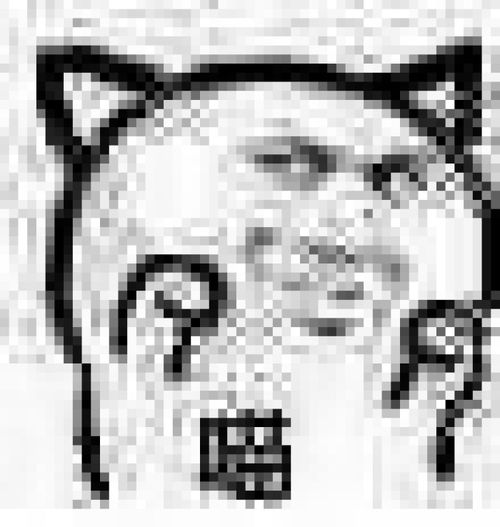 一条小团团ovo吃鸡表情包