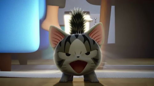 甜甜私房猫小奇,你受到什么刺激啦