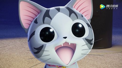甜甜私房猫小奇猫他们还会跳舞,真的是太有趣了