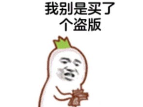20年前日本人70亿做的游戏,跳票2年出新作,仅卖了1万份直接凉凉