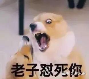 金星的谈话节目和其他人相比并无特色,为何会火