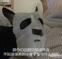 不要跟我硬碰硬我受的是伤你丢的是命图片疑车无据表情包下载乐游网游戏下载