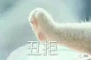 大曝光进口粮国产粮假洋牌注意避雷