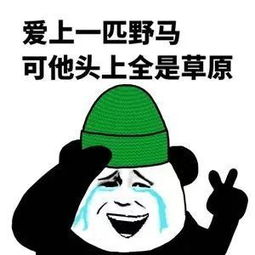 戈兰高地52年的房地产纠纷案