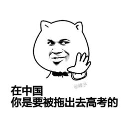 海量表情包仓库持续更新中