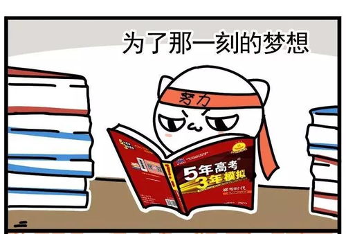 考完的那天,我可是相当嗨的