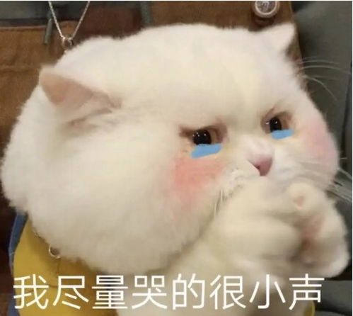 戒糖是不可能戒的,本i酸甜口味这辈子应该也戒不了...