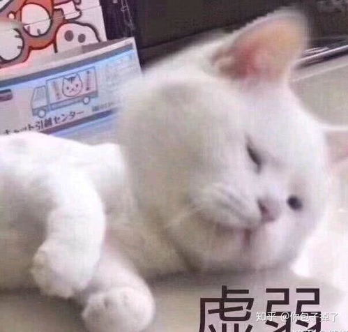 想问一下表情包很多的人,会不会担心自己的表情包重复或有没有可以检查表情包的软件